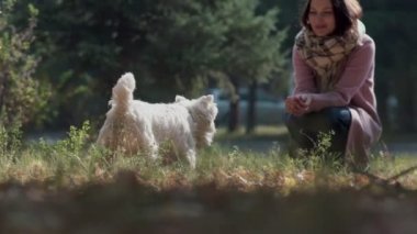 Slowmotion: Sahibi köpek çağırır. Köpek sahibine gider..