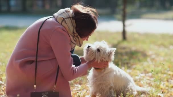 Mädchen geht gerne mit dem Hund spazieren. Spiel mit dem Hund. fröhlicher Welpe — Stockvideo