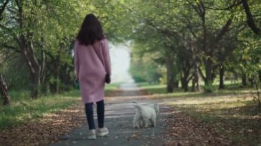 Sonbahar parkında köpeği olan bir kadın. Batı İskoçya beyaz teriyeri