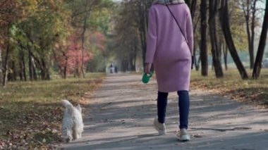Tasmalı köpek yavrusu. Pembe ceketli kız köpeği tasmayla tutuyor.
