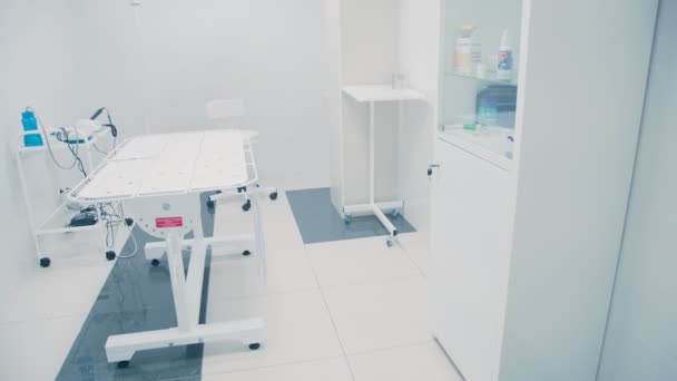 Moderne veterinaire kliniek. Onderzoek kamer in het veterinaire ziekenhuis. — Stockvideo