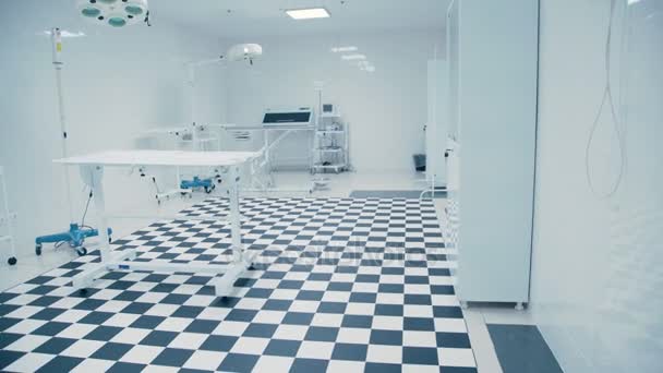 Clinique vétérinaire moderne. Carrelage sol noir et blanc . — Video