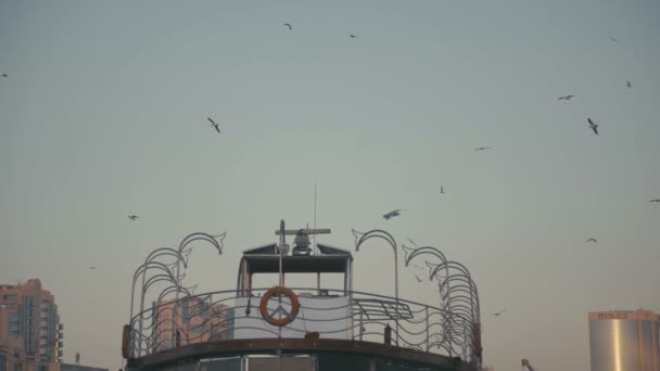 Seagulls circling around the pier. Orange lifebuoy. — Stock Video