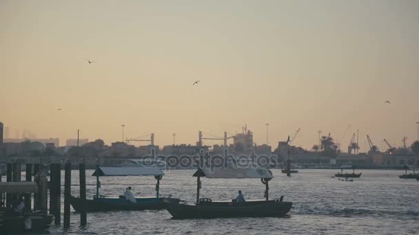 UAE, 2017: Dubai Creek. Lugn atmosfär: havet hamnstad vid solnedgången. — Stockvideo