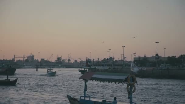 Hafen mit Schiffen in den Emiraten. Möwen am Himmel über den Schiffen — Stockvideo