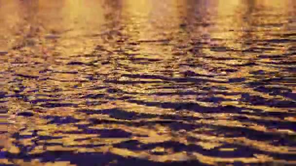 UAE, 2017: 's avonds lichten van een moskee weerspiegeld in het water. — Stockvideo