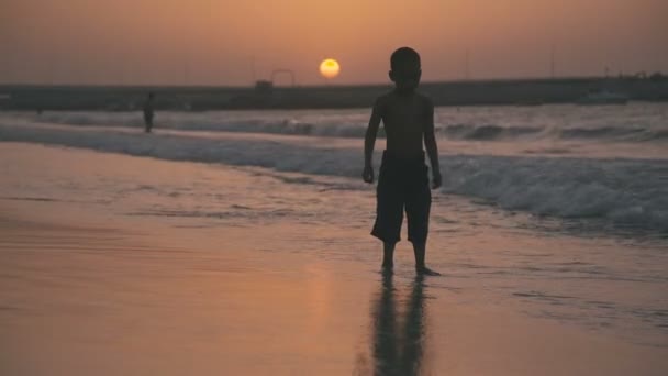 Enfant célibataire - Arabe ou indien - debout dans l'eau et jouant sur la plage — Video