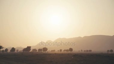 Günbatımı bir kefen içinde. Siluetleri bitki ve ağaçlar BAE Çöl.