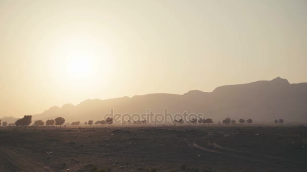 砂漠または程度においてパノラマ: 風景です。砂漠の植物. — ストック動画