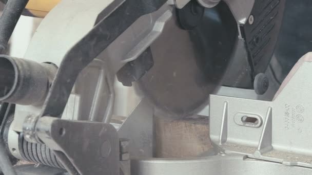 Close-up: serra de painel na oficina de carpintaria. Serra de gabarito elétrico — Vídeo de Stock