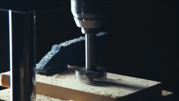 Hulpmiddelen voor de bewerking van hout en de fabricage van houten producten. — Stockvideo