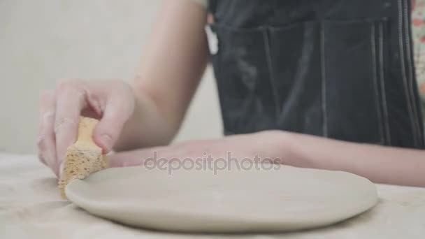 Vajilla de cerámica hecha a mano: plato de diseño. Potter hace un producto — Vídeos de Stock