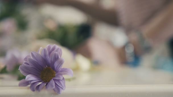 Γκρο πλαν: Ανθοπωλείο συναρμολογεί μια σύνθεση των λουλουδιών. — Αρχείο Βίντεο