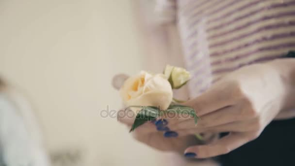 White rose in the hands of a florist. Creating a floral composition — Stock Video