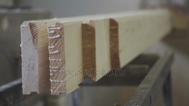 Calibration wooden pieces on the production of laminated veneer lumber — Stock Video