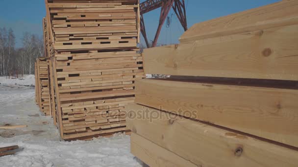 Vigas y tableros de madera cuidadosamente apilados en forma de pirámide — Vídeos de Stock