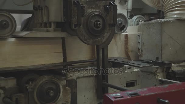 Producción de chapa de madera laminada.LVL Chapa de madera laminada Lumbe . — Vídeos de Stock