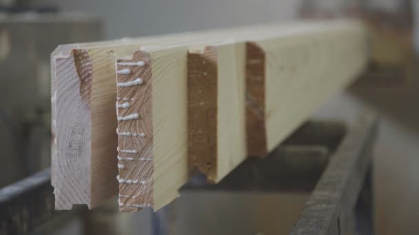 Máquinas e equipamentos para o corte e moagem de lamelas. Trabalhos em madeira — Vídeo de Stock