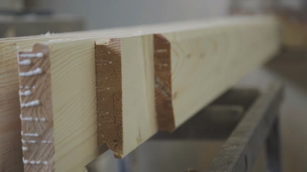 Slats fuera de debajo de la máquina. Aserrín de madera . — Vídeos de Stock