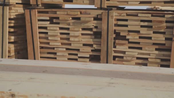 Wood építőipari és laminált, furnér fűrészáru gyártása. — Stock videók