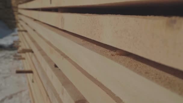 Los espacios en blanco de madera para la producción de madera pegada están en la calle en filas ordenadas . — Vídeo de stock