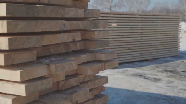 Dřevěné konstrukce a výroba laminované dýhy řezivo. — Stock video