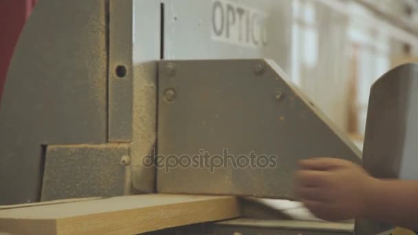 Industria de la madera: maquinaria para cortar y triturar laminillas — Vídeo de stock