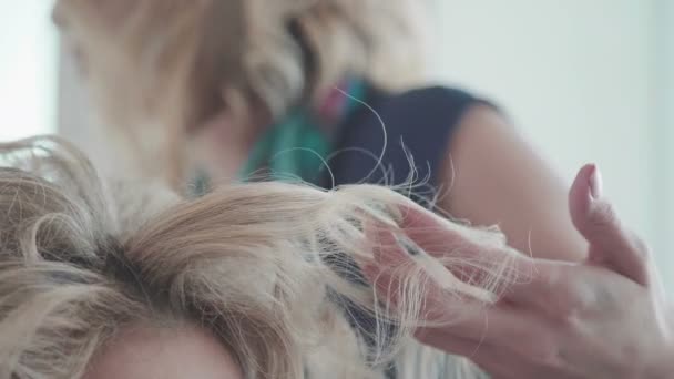 Una mujer en un salón de belleza. Apilamiento. Peluquería en el trabajo . — Vídeos de Stock