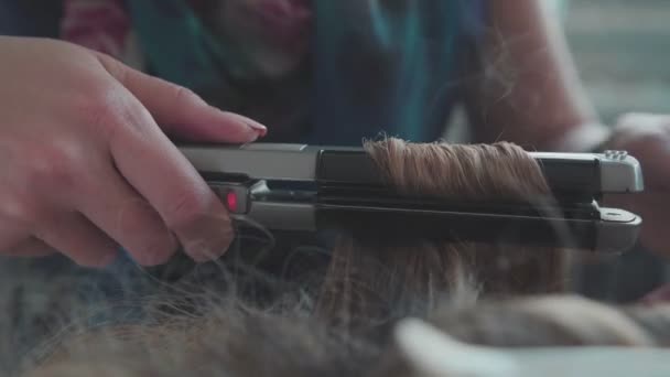 Peluquería trabajando con hermosa mujer cabello en peluquería . — Vídeo de stock