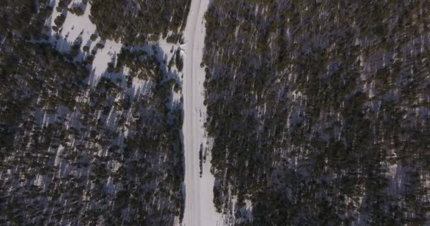 Σιβηρία, εναέρια: Χειμώνας δάσος και δρόμος από ύψους. — Αρχείο Βίντεο