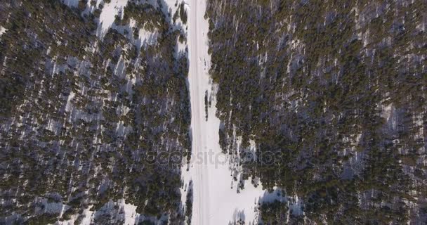 Siberia, aérea: Bosque de invierno desde helicóptero . — Vídeos de Stock