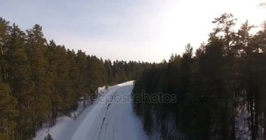 Sibirya, Hava: satır ağaçlarının arasındaki boş kırsal yol.