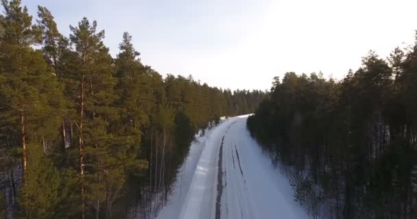 Siberia, aerea: una foresta invernale di conifere e una strada nel mezzo — Video Stock