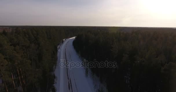 Rural road between the coniferous dense forest and goes beyond horizon — Stock Video