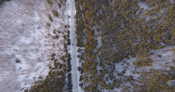 시베리아 숲의의 항공 사진 영감을 자연 및 자연 경관: — 비디오