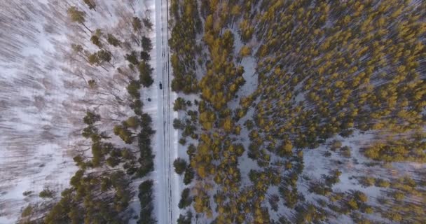 Um tiro de uma altura em uma estrada de inverno vazia em uma área pitoresca — Vídeo de Stock