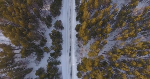 Ptačí pohled na vrcholky stromů a na venkovské silnici. — Stock video