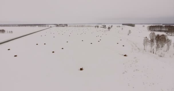 Siberië, luchtfoto: besneeuwde witte weg van een birds eye view. — Stockvideo