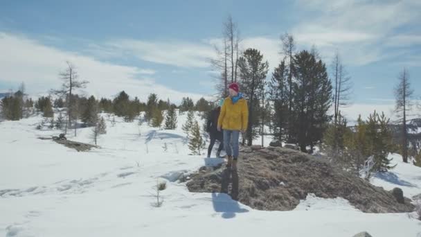 Walk on the nature. A young couple is walking in nature. — Stock Video