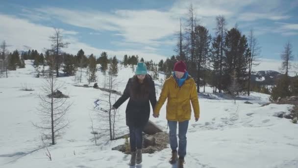 Casal amoroso caminha na floresta, de mãos dadas, contra as montanhas — Vídeo de Stock