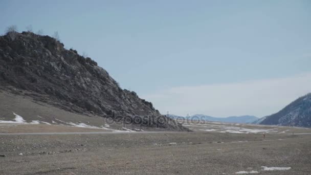 Two horses in the pasture with mountains in the background. — Stock Video