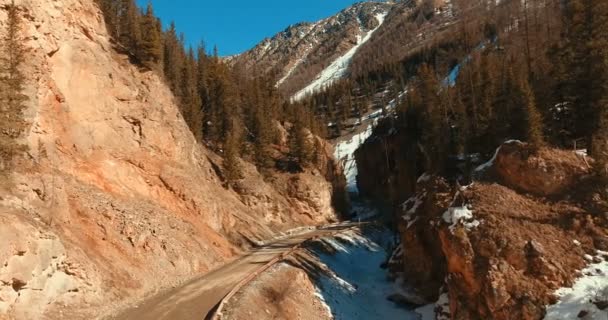 Uma bela paisagem natural: uma reserva nas montanhas Altai . — Vídeo de Stock