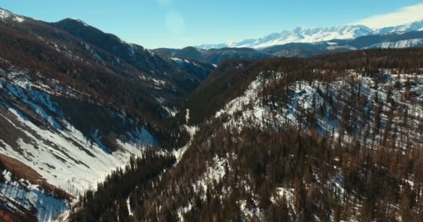 La nieve se derrite, abetos, siluetas de montañas. Paisaje Siberia — Vídeos de Stock