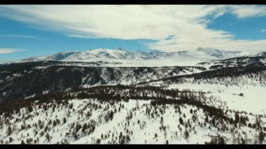 Altay: karlı dağlar, berrak gökyüzü, vahşi Ladin ve dağ tesisleri.