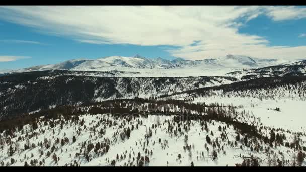 Altay: karlı dağlar, berrak gökyüzü, vahşi Ladin ve dağ tesisleri. — Stok video