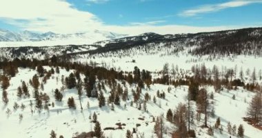 Yerlere ulaşmak zor: yaban hayatı ve bitki hayatta sert bir iklimde