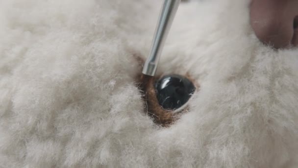 Thin brush for drawing: the eyes of a soft toy. Teddy bear craft — Stock Video