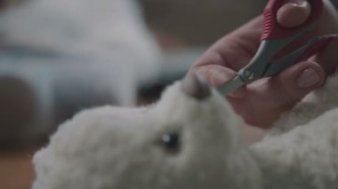 Yumuşak oyuncak dikmek: arka dikiş. Bir peluş oyuncak başkanı dikiş.