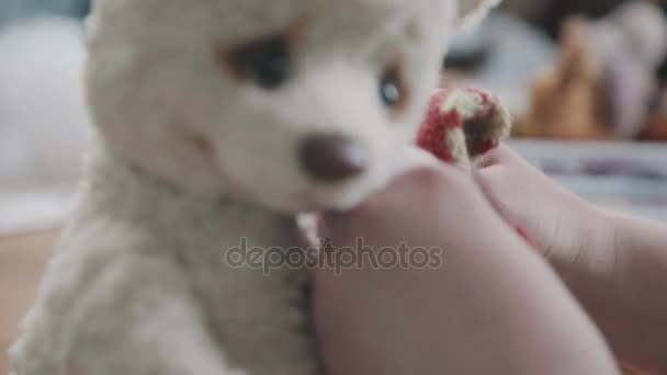 Frauenhände legen einen Wollpullover auf ein Stofftier: einen niedlichen Teddybär — Stockvideo