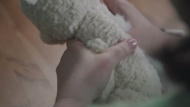 Ремонт плюшевых игрушек: женские руки сшивают плюшевого медведя . — стоковое видео